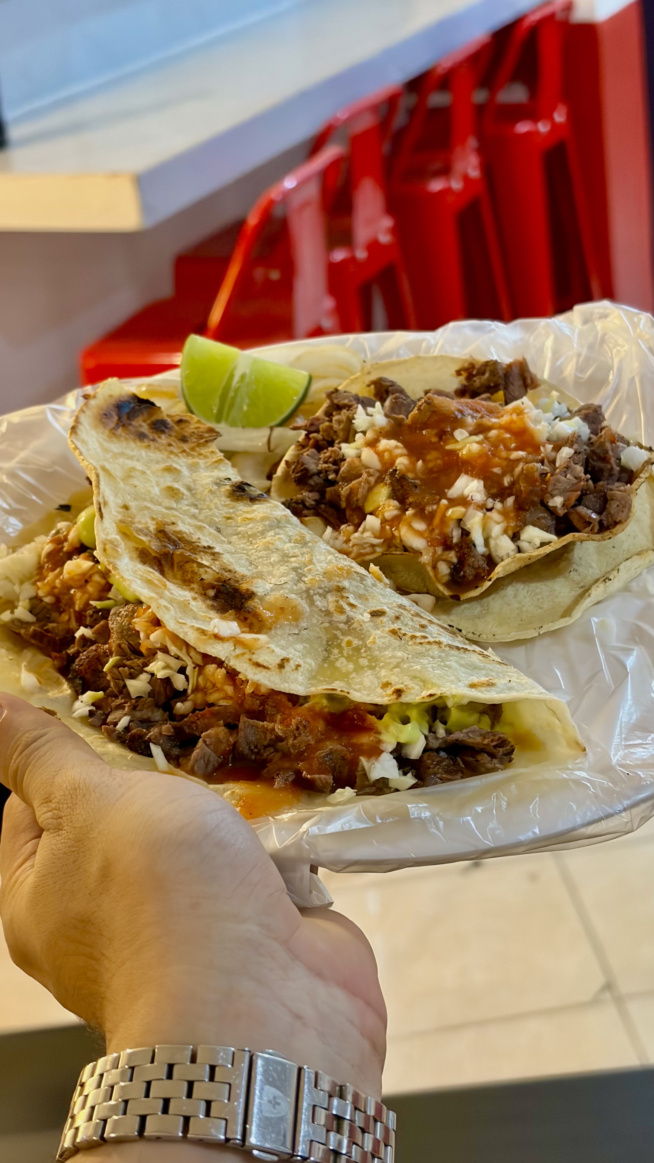 Tacos y quesadilla NORTE 33